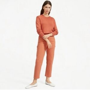 Everlane The Soft Cotton Crew Sweater in Spanish Clay